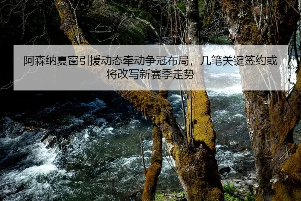 阿森纳夏窗引援动态牵动争冠布局，几笔关键签约或将改写新赛季走势